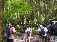 P8100030